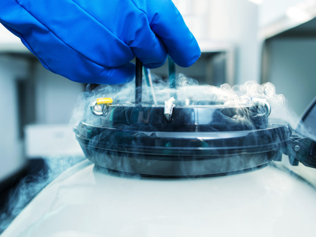 Learn the answer to the question, “How long can you store frozen eggs?”